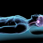 Brain Aging Reversed With Simple Exercise Illustration of a human figure with a highlighted brain