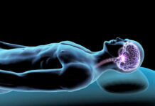 Illustration of a human figure with a highlighted brain