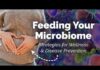 Carbs That Transform Your Gut and Health Feeding Your Microbiome: Dietary Strategies for Wellness and