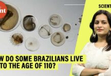Brazil’s 110-Year-Olds Defy Modern Medicine Odds How do some Brazilians live up to 110 years Scientists hunt