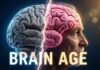 Exercise Makes Your Brain Younger: 150-Minute Study Reveals MRI Proof (2026)