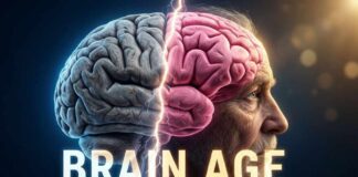 Exercise Makes Your Brain Younger: 150-Minute Study Reveals MRI Proof (2026)