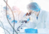 Mouse Study Sparks Anti-Aging Hopes Scientist examining samples under a microscope in a laboratory