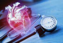 This Protein Could Rewire Heart Disease Risk An anatomical heart illustration next to a blood pressure monitor