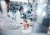 3D Lymph Nodes: New Cancer Breakthrough? Scientists working in a laboratory with microscopes and test tubes