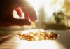 A hand reaching for a golden capsule among many on a table