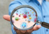 Obesity Science Upended By Hidden Fat Protein A person holding a magnifying glass showing colorful microorganisms