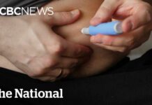 Why Ozempic Quitters Come Crawling Back Weight comes back quickly after quitting GLP-1 drugs: study