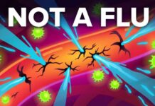 What it is Actually Like to have Hantavirus