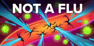 What it is Actually Like to have Hantavirus