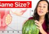Fibroid Size Explained (When You Should Actually Worry)