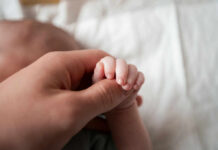 Parenthood’s Hidden Romance Tax A close-up of a babys hand being held by an adult hand