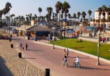 People walking and biking along a beach promenade with palm trees