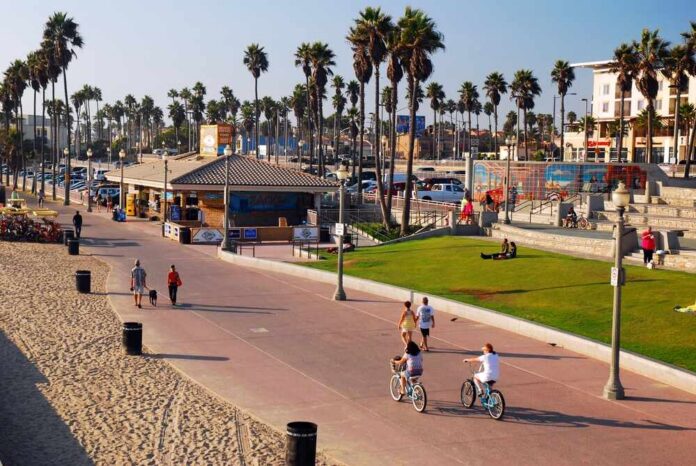 People walking and biking along a beach promenade with palm trees