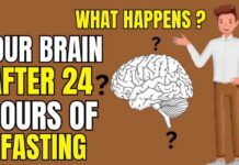 What Happens to Your Brain If You Fast for 24 Hours? (Fasting Benefits)