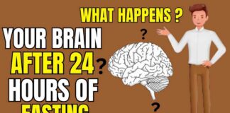 What Happens to Your Brain If You Fast for 24 Hours? (Fasting Benefits)