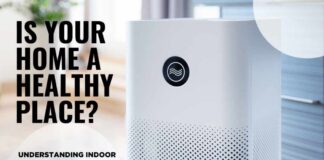 The Truth About Indoor Air Pollution | How Interior Design Affects Your Health