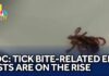 CDC: Tick bite-related ER visits are on the rise