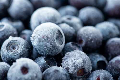 Macro,Of,Big,Ripe,Frozen,Blueberries.,Background,Of,Healthy,,Tasty Close-up of frozen blueberries with a frosty texture