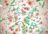 Gut Bugs Blamed For Skin Flares Colorful microscopic bacteria and viruses floating in space