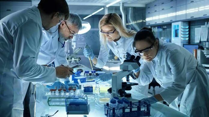 Scientists working together in a laboratory