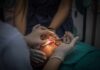 The Hidden Heart Risk of Mouth Infections Dental surgeons perform oral procedure with instruments