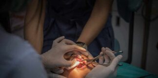 Dental surgeons perform oral procedure with instruments