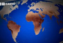 The Evolution of Human Skin Color The Evolution of Human Skin Colour | BBC Earth Science