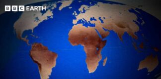 The Evolution of Human Skin Colour | BBC Earth Science