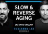 Invisible Toxins That Turbocharge Aging Essentials: The Biology of Slowing & Reversing Aging | Dr. David Sinclair