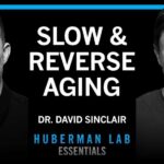Essentials: The Biology of Slowing & Reversing Aging | Dr. David Sinclair