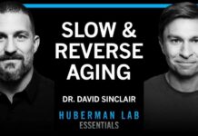 Essentials: The Biology of Slowing & Reversing Aging | Dr. David Sinclair