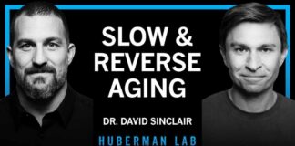 Essentials: The Biology of Slowing & Reversing Aging | Dr. David Sinclair