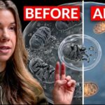 Mitochondria Cleanup Pill Shocks Scientists This Supplement Clears Out Damaged Mitochondria (Backed By Clinical Trials)