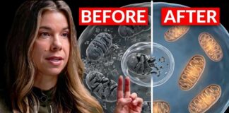 This Supplement Clears Out Damaged Mitochondria (Backed By Clinical Trials)