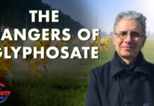Dr. Michael Antoniou on the Dangers of Glyphosate