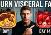 14 Day Plan to Burn Visceral Fat (Works Every Time!)