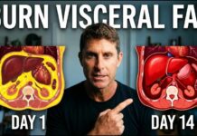 14 Day Plan to Burn Visceral Fat (Works Every Time!)