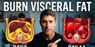 14 Day Plan to Burn Visceral Fat (Works Every Time!)