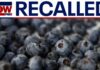 FDA upgrades blueberry recall to highest-risk warning