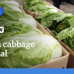 China probes reports cabbages were dipped in formaldehyde to stay fresh | The World | ABC News