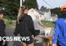 Record Number of Adults Moving in with their Parents More adults are moving in with their parents as the U.S. affordability crisis deepens