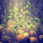 Microbes among intestinal villi