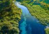 Aerial view of a clear blue river winding through lush green vegetation