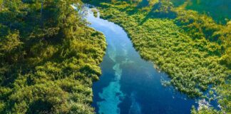 Aerial view of a clear blue river winding through lush green vegetation