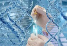 Cell Reprogramming Teases Age Reversal Gloved hands pipetting liquid into a test tube amid DNA helix graphics