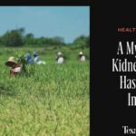 A mysterious kidney disease has arrived in Texas / Texas Monthly