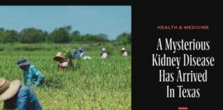 A mysterious kidney disease has arrived in Texas / Texas Monthly