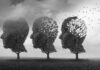 Midlife Brain Flip Alarms Scientists Three trees shaped like human heads losing leaves