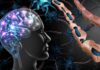 Scientists Find Anxiety Kill-Switch Human brain and damaged myelin sheath illustration